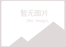 盐池县字迹媒体有限公司